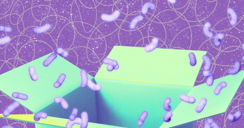 The 45 Best Prime Day Deals That Are Actually Worth Paying Attention To