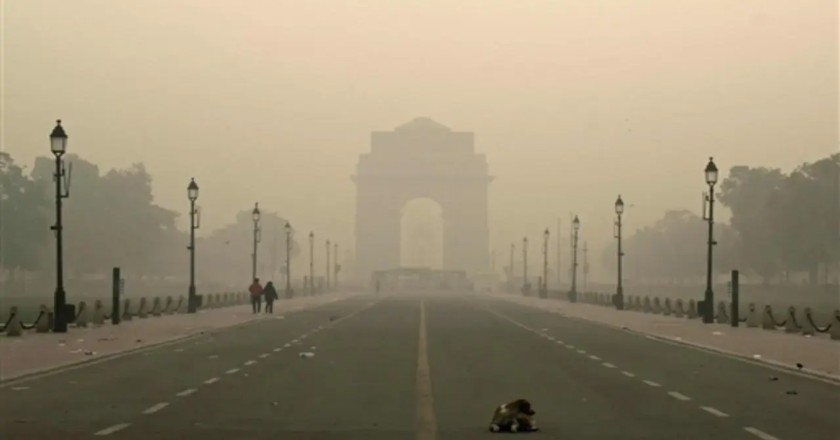 New pocket-sized sensor to detect asthma, lung damage causing sulphur dioxide