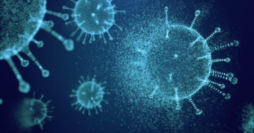 Over 9 pc of world`s land area under high risk of zoonotic outbreak: Study