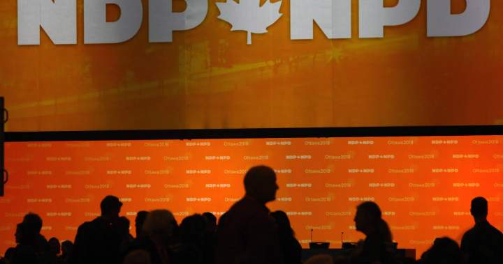 NDP Convention