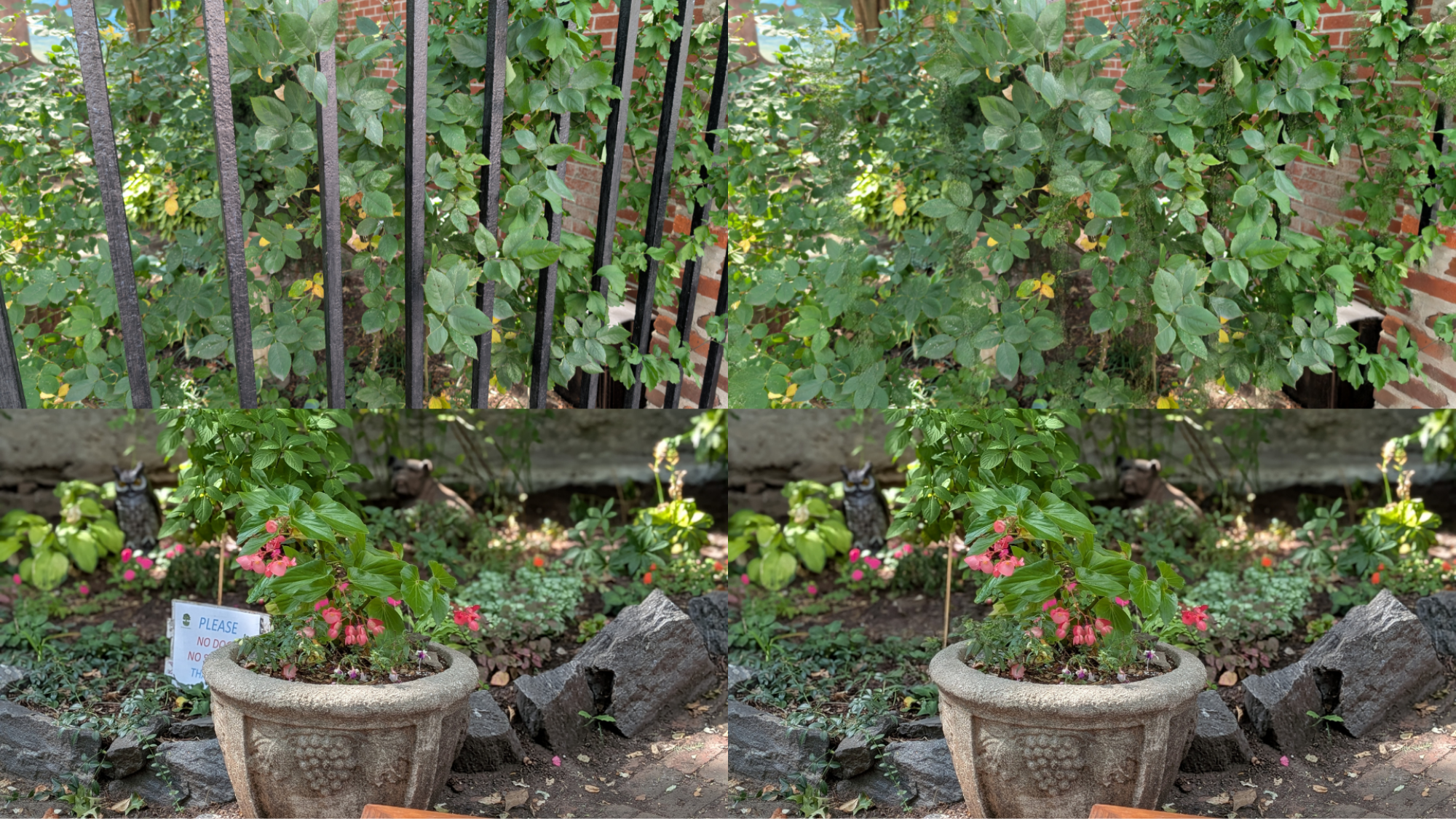 AI Photo edits made with the Pixel 10