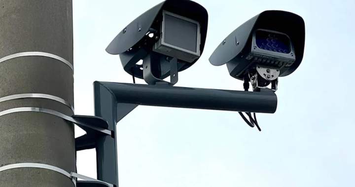 cameras