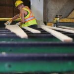 B.C.’s softwood lumber U.S. tariffs now higher than Russia’s: ‘Let that sink in’