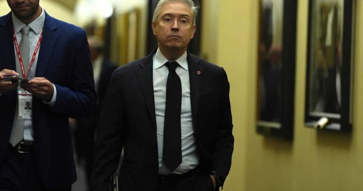 Ahead of budget, finance minister set to face committee – National