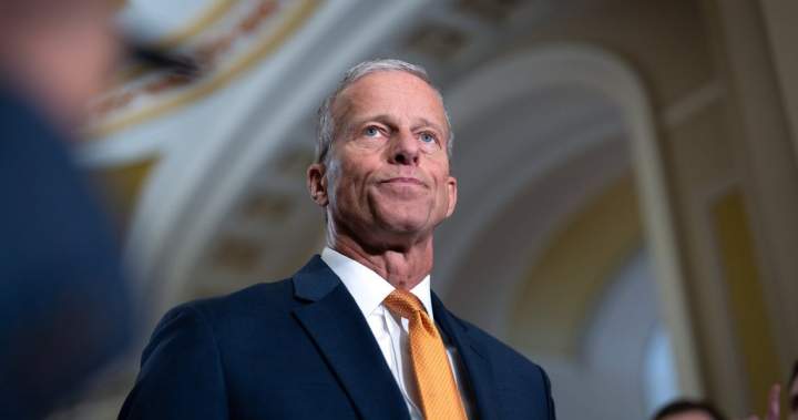 Food aid at risk of expiring as effort to fund SNAP benefits fails in Senate - National 1 1947853746d5d3a4141ecec5b804b04e613cf5f24742f9ef362276c60ef20ff2