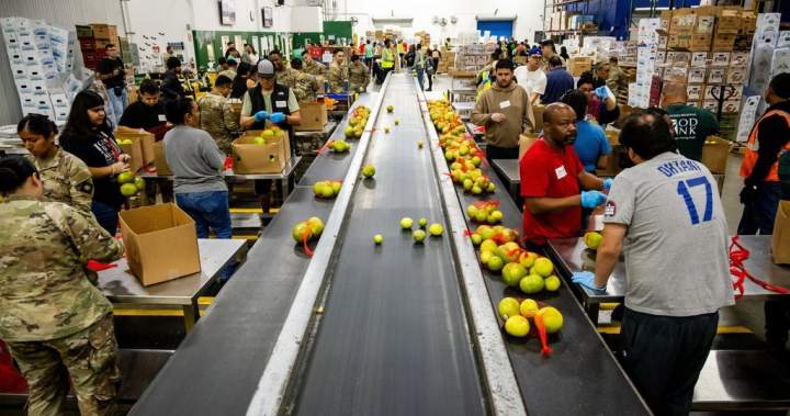 3372749e8cda29690acab5290caafcee5225dec955d835719afa422d35ad178b