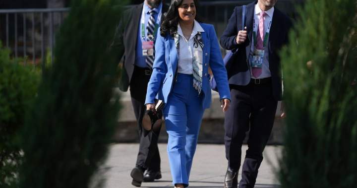 Canada to host G7 foreign ministers for security, economy talks next month – National