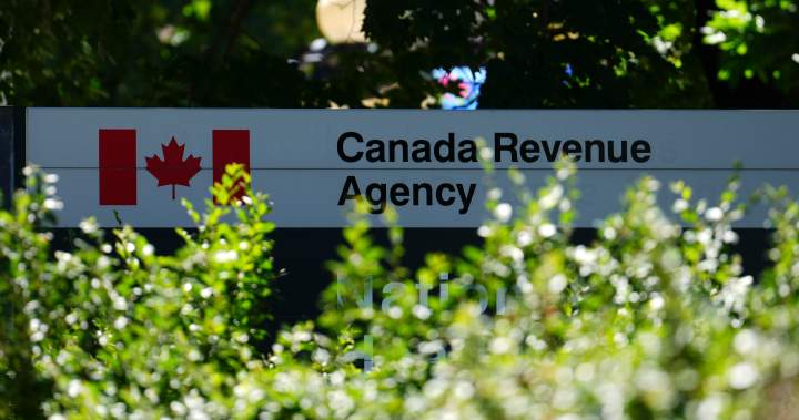 Automatic tax-filing for low-income Canadians coming in 2025 budget: Carney – National