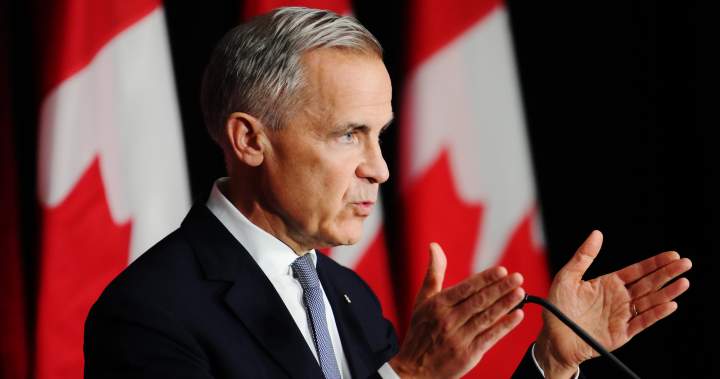 Carney immigration plan