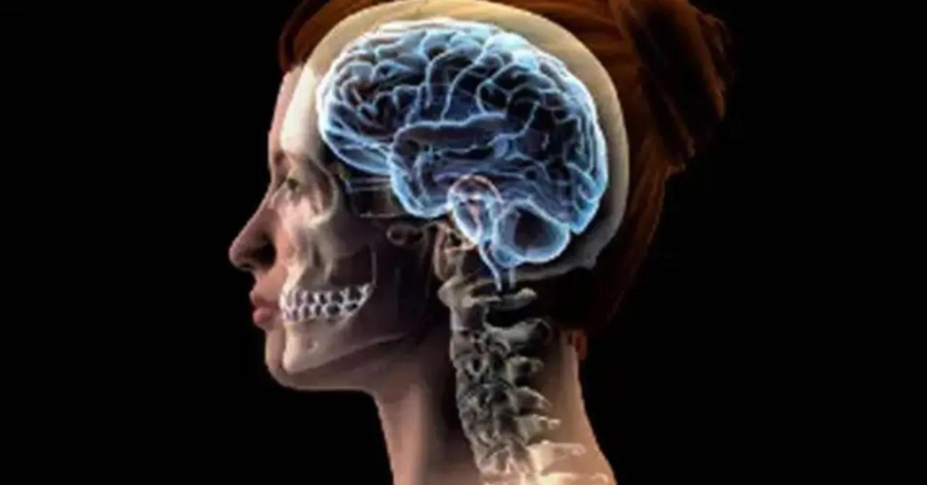 More than 1 in 3 people worldwide live with brain disorders: Report