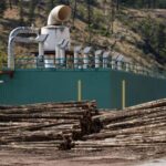 Relief for tariff-hit softwood lumber sector on the way: Industry minister – National