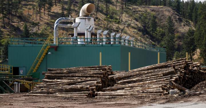 softwood lumber relief