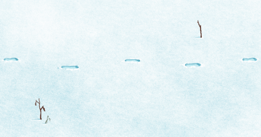 What to Wear to Run in the Cold