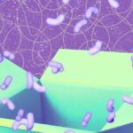 I’m a Tech Editor, and These Are the Best Early Black Friday Tech Deals Right Now