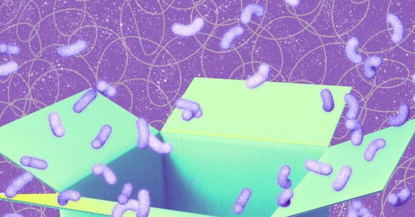 I’m a Tech Editor, and These Are the Best Early Black Friday Tech Deals Right Now