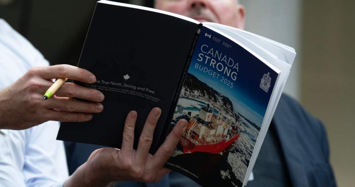 Budget things you missed