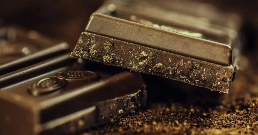 Dark chocolate, berries may help boost memory and relieve stress: Study