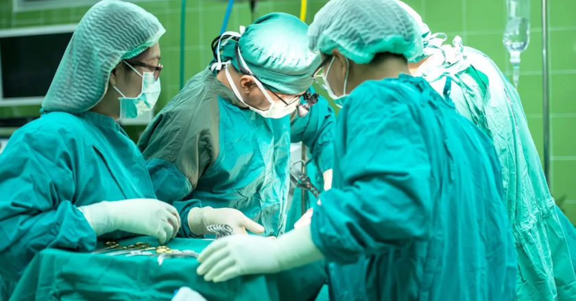 First clinical trial for pig-to-human kidney transplant underway