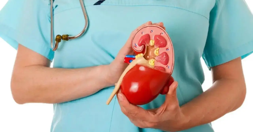 India ranks second globally in chronic kidney disease cases, says study