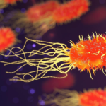 WHO calls for early action to tackle antimicrobial resistance