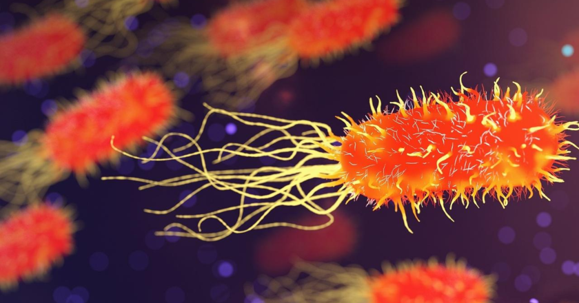 WHO calls for early action to tackle antimicrobial resistance