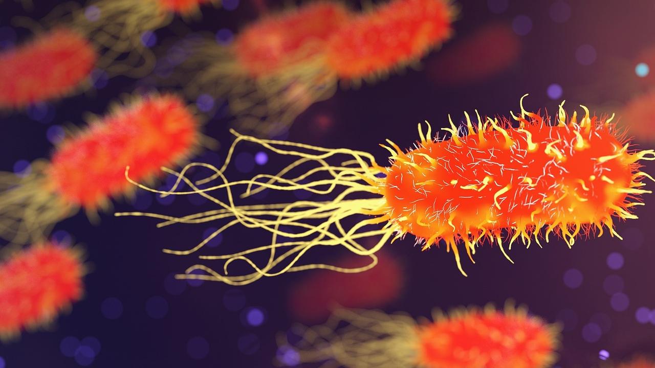 WHO calls for early action to tackle antimicrobial resistance