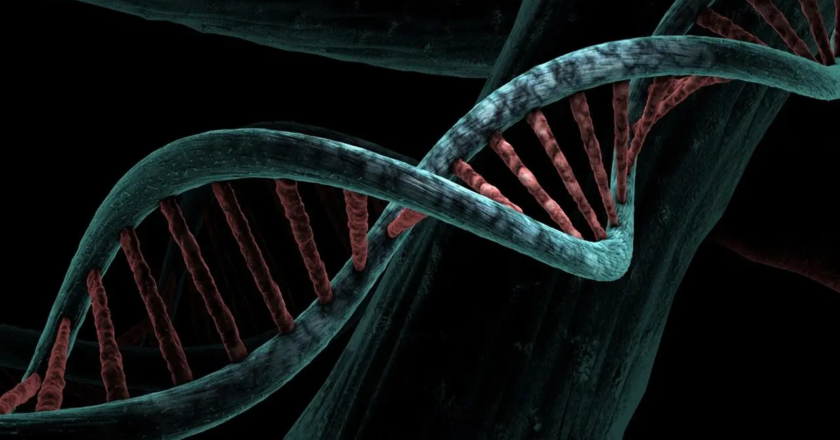 "We discovered the secret of life": Nobel Prize winner James Watson passes away