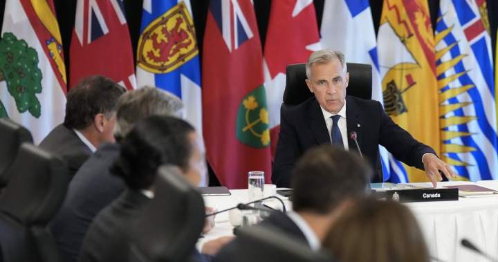 Premiers say infrastructure, U.S. trade talks top Carney meeting priorities – National