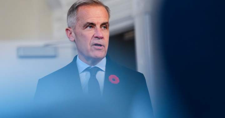 mark carney budget 2025