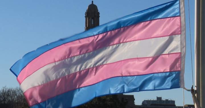 transgender.flag 1
