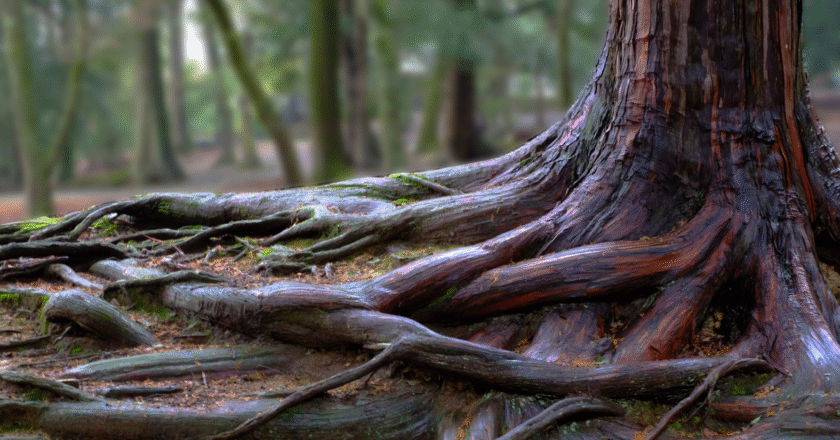 Use the ‘Five Whys’ to Get to the Root of Your Productivity Problems