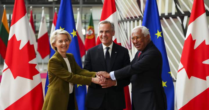 CP174696348 e1750702325820