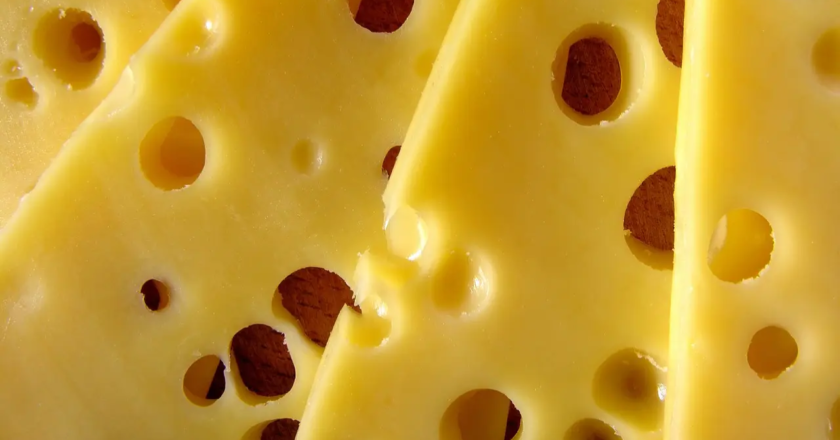 Is high-fat cheese healthy for your brain? New study sheds light on risk factors