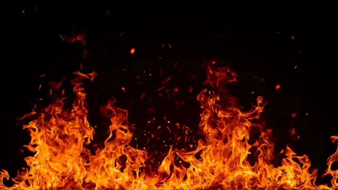 Burning firewood at home in winters raising air pollution, premature deaths 2 Burning firewood at home in winters raising air pollution premature