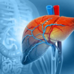 What really happens to your liver during `Dry January`?