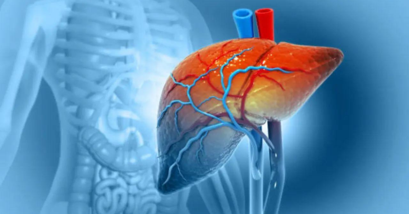 What really happens to your liver during `Dry January`?
