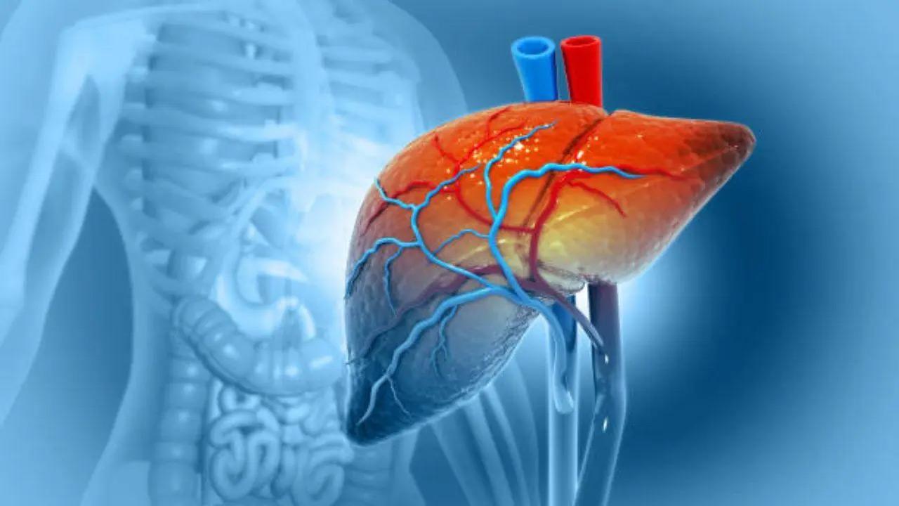 What really happens to your liver during Dry January