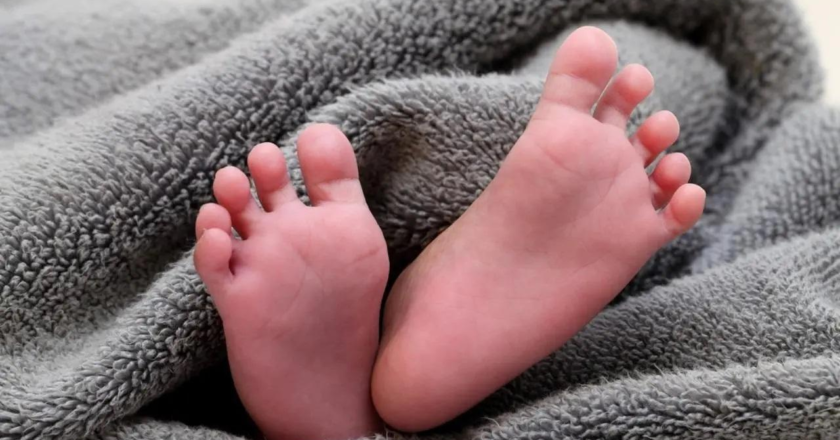 Delhi doctors remove two-inch-long metal spring from 14-month-old`s food pipe