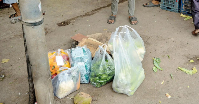 Health impacts due to plastics worldwide may double by 2040: Lancet study