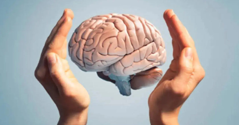 Scientists find clue to human brain evolution in finger length: Study