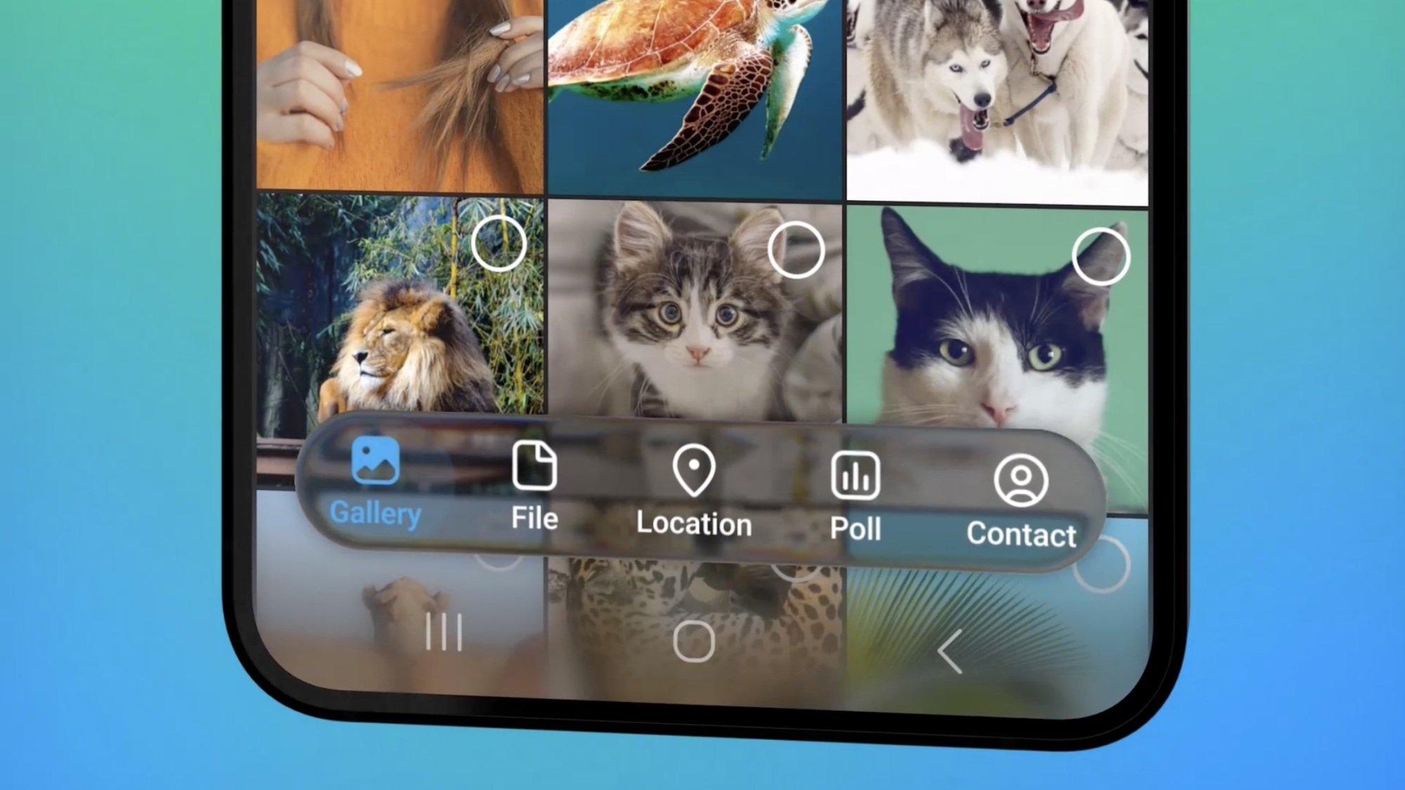 The Telegram App Has a New Look and a Weird