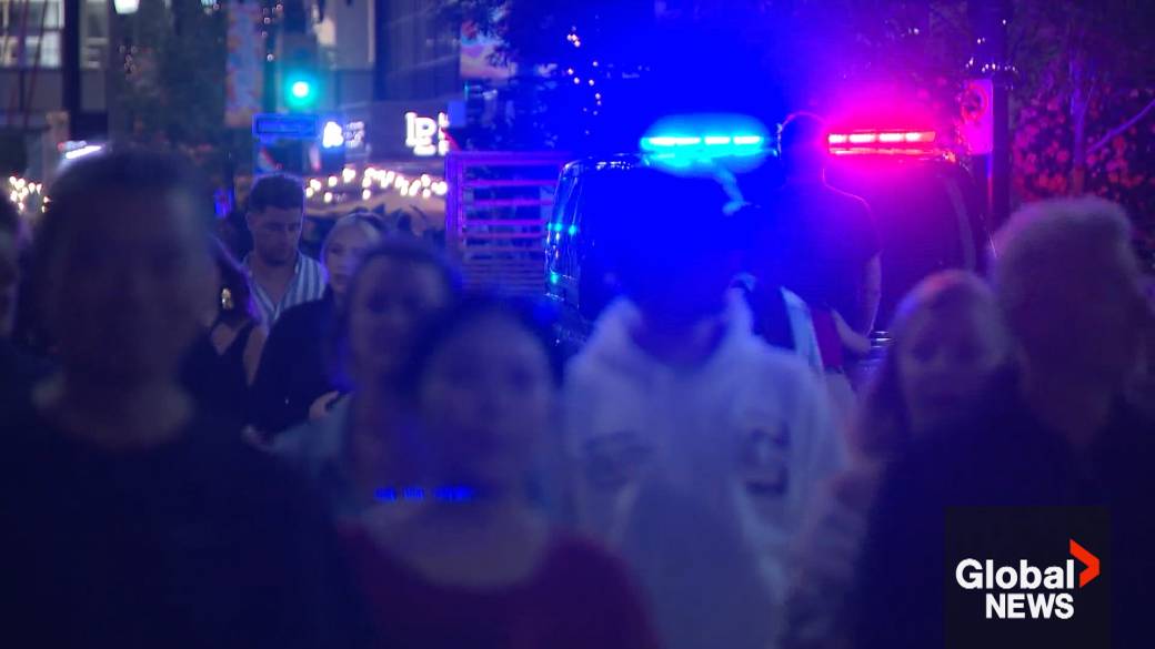 Click to play video: 'Alberta experts concerned about privacy and AI'