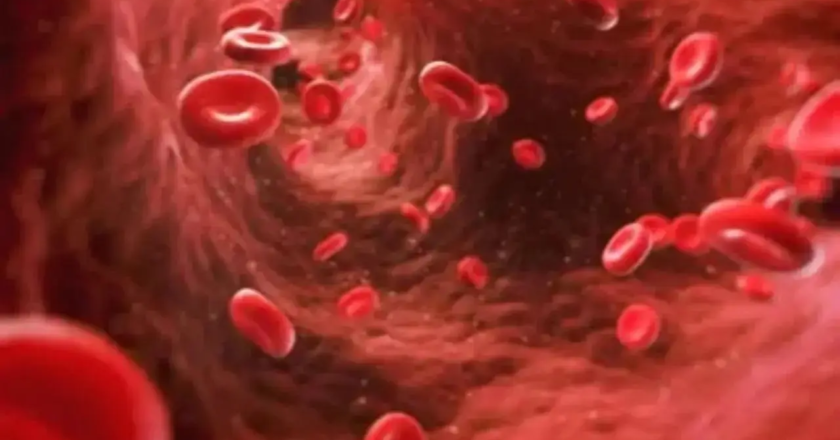 Structural changes in blood plasma proteins may reflect early signs of Alzheimer