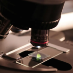 Why Indian science experts believe STEM is going to be crucial for the future