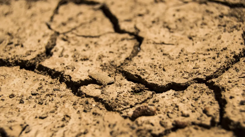 High lead levels found in soil near battery recycling units across India: Study