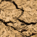 High lead levels found in soil near battery recycling units across India: Study