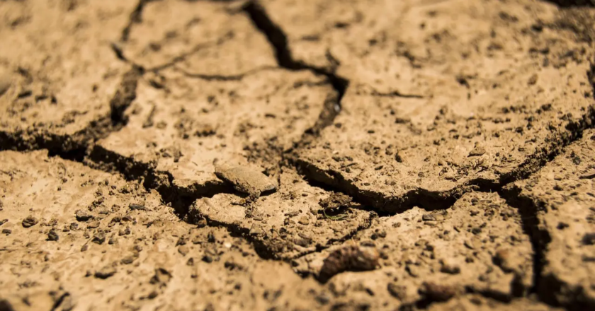 High lead levels found in soil near battery recycling units across India: Study