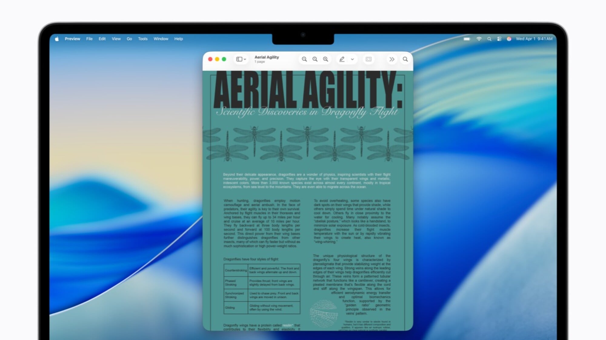 accessibility reader