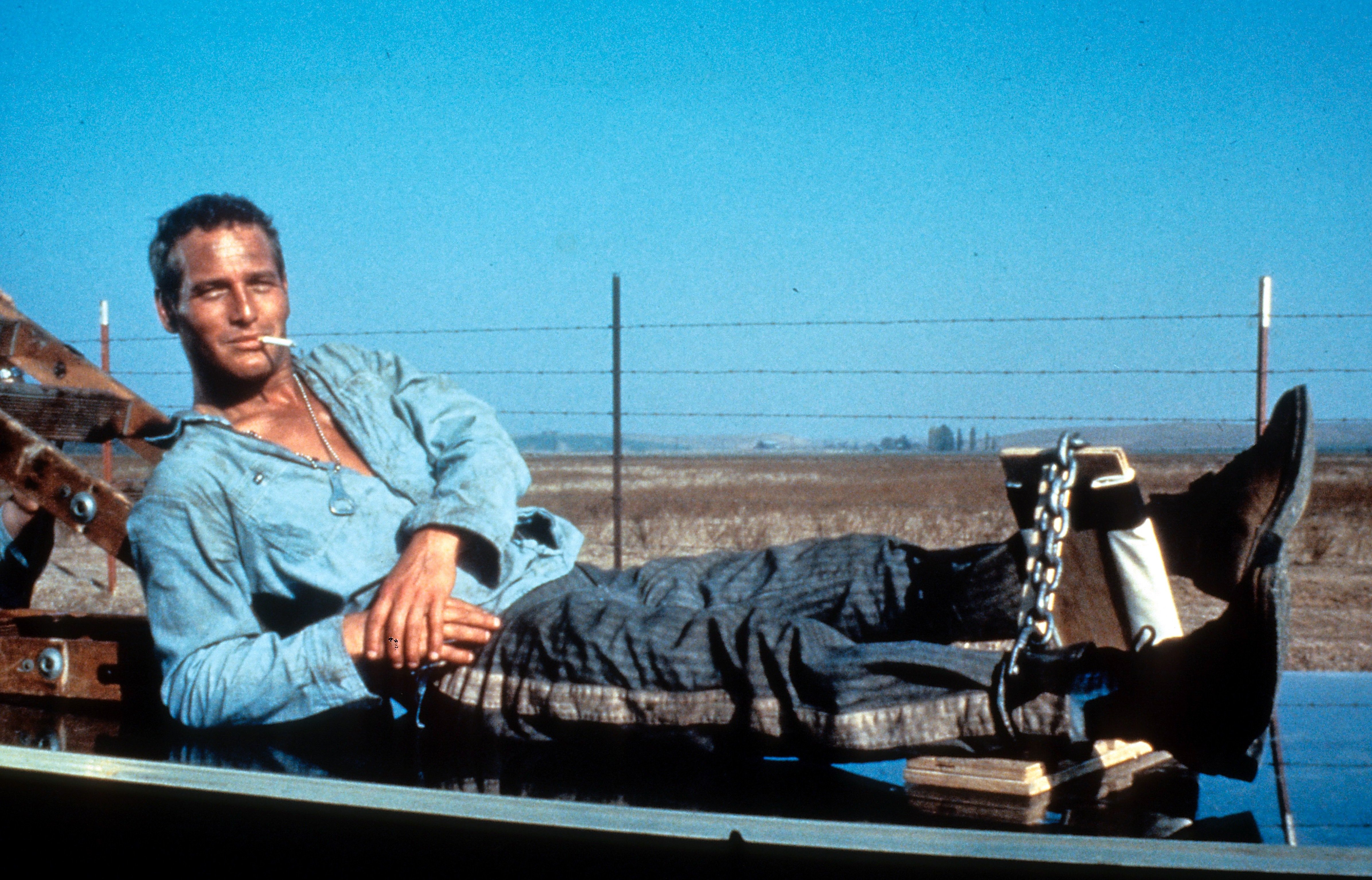Cool Hand Luke (1967)