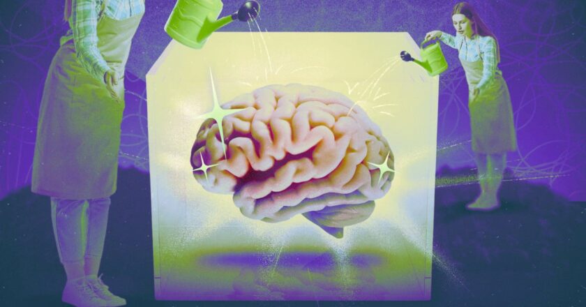 The Meaning of 'Brain Health' Depends on Who You Ask